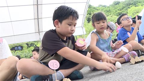 台北市動物園重新開園　端午節立蛋活動湧人潮