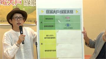 台灣前15名排碳大戶 誰是綠能模範生？  