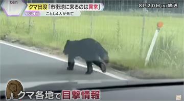 日本熊害再起！秋田縣73歲婦遇襲身亡　成今年「首起」死亡案