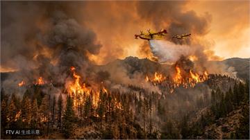 法西兩國野火失控！狂燒數萬公頃、緊急撤離逾16萬人
