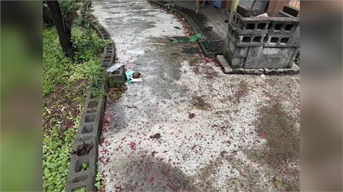 快新聞／新北中和7旬老翁墜樓！緊急送往雙和醫院　頭部重創不治