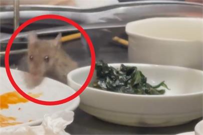 快新聞／料理鼠王？北市信義區1火鍋店「天降老鼠」　男子「超冷靜」出手