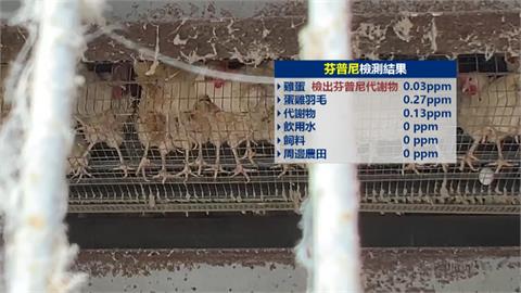 又出包！　彰化案場「雞蛋、羽毛」再檢出芬普尼　飼主違法裁罰合計12萬元