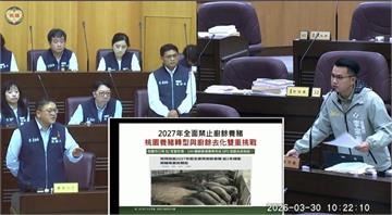 桃園黑毛豬面臨禁廚餘危機！李宗豪籲靠「這物」替代蛋白來源