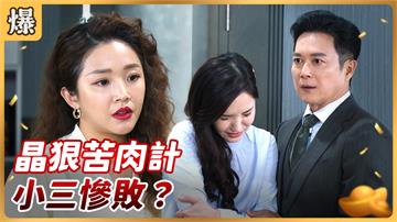 《好運來-EP75精彩片段》晶狠苦肉計 小三慘敗？