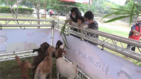 彰化「領頭羊」！　肉羊年產值全國第一　王美惠親自掌廚　推廣正宗羊肉料理