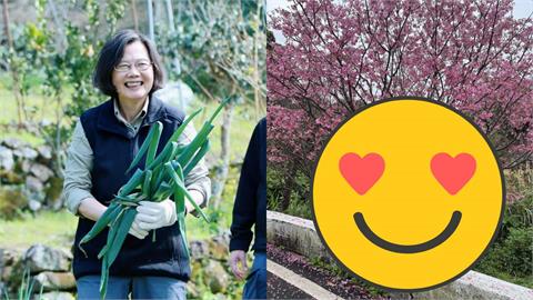 蔡英文現蹤陽明山「賞櫻+遛狗」被拍！突遭「疑惑猛盯」全網驚：不可能…