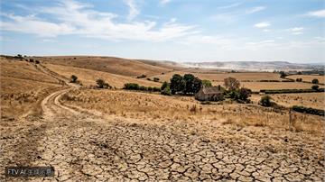 英國遭遇嚴重高溫乾旱　氣象局證實今夏創1884年以來最熱紀錄