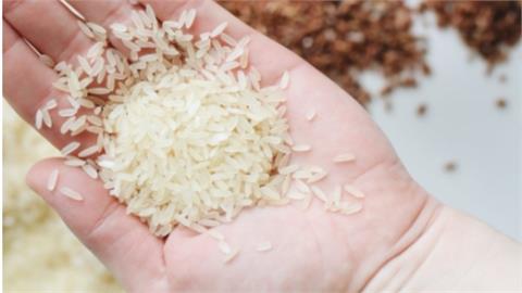 米到底洗幾次才乾淨？「3秘訣」必須把握：弄錯營養全流掉