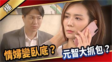 《愛的榮耀-EP204精采片段》情婦變臥底？ 元智大抓包？