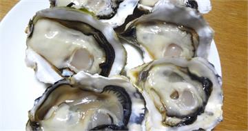 生蠔藏諾羅病毒風險!嘔吐、腹瀉恐找上門 食藥署教4招安心吃