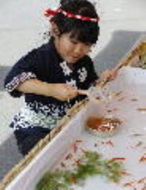 日本撈金魚全國大賽！　逾1700人同場較勁