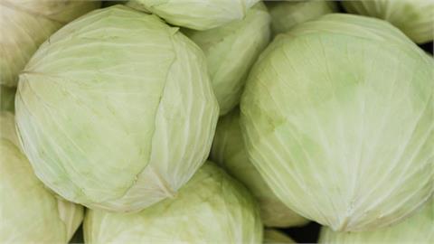 高麗菜變黑還能吃?日廚師曝「3大警訊」快丟掉...農糧署教「3招」保存一月