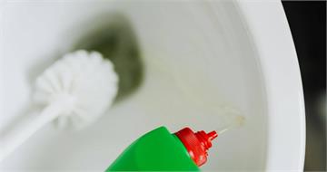 別把蟑螂沖馬桶！醫師揭背後驚人危害：會爬回家中