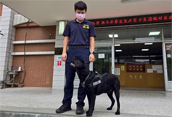 超萌緝毒犬立功 警破獲毒品大盤商搜索倉庫全靠牠