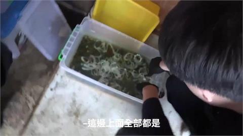 2毒工廠遭破獲! 新屋輪胎廠查獲「依托咪酯成品」2公斤