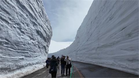 大雪牆僅14米還值得去？他搶開箱2024立山黑部　點1關鍵勸：旅遊要趁早