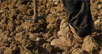 農夫田裡找鐵鎚反挖出千年寶藏 獲國家認證!天價回饋曝光