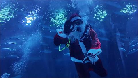 巴西水族館耶誕老人潛水秀　充滿節日氛圍兼具教義意義