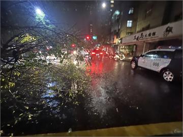 快新聞／豪雨炸北台灣！　北市路樹倒塌壓「1人2車」緊急送醫