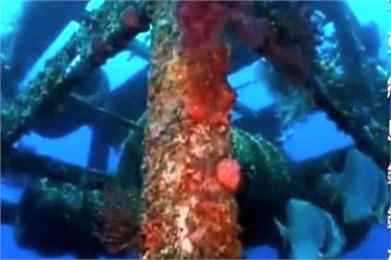 保護、培育海洋資源 苗沿海投人工魚礁