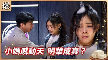 酒店妹黑歷史被爆！真男人毫不嫌棄超感人？《豆腐媽媽-EP99精彩片段》