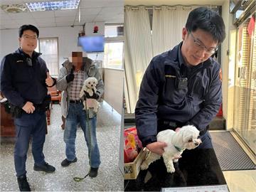 快新聞／警察叔叔我要回家！瑪爾濟斯走失冷到發抖　見警竟走斑馬線求幫忙