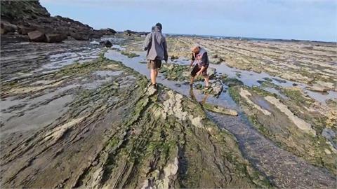 快新聞／惡「毒」手段！新北馬崗潮間帶疑遭惡意毒魚　里長急籲勿採野菜