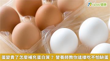 蛋變貴了怎麼補充蛋白質？營養師教你這樣吃不怕缺蛋