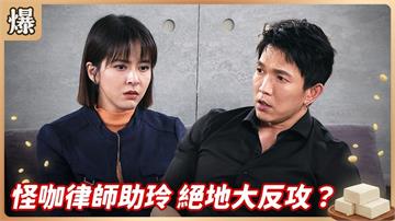 神秘律師打贏官司有內幕？被告房仲女王終於找到大靠山？《豆腐媽媽-EP33精彩片段》