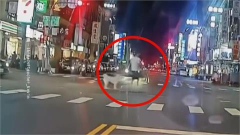 毛小孩特技！街頭與飼主「溜滑板」　民眾直擊驚呼：太酷了吧