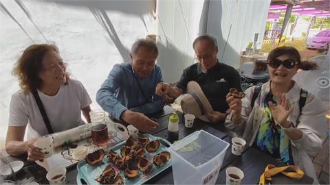 澎湖馬糞海膽供不應求　業者研發人工養殖技術
