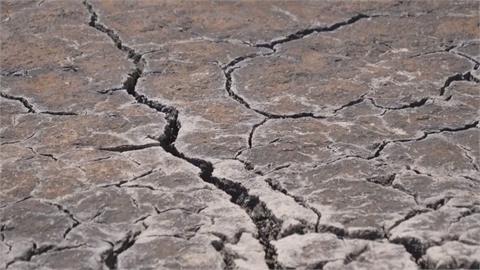 沒人置身事外！極端氣候釀災　2024年地球人平均經歷41天危險酷熱
