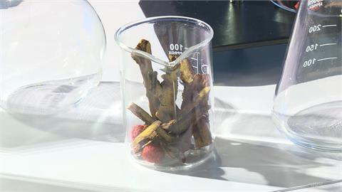 不靠中國進口中藥材！　清冠一號團隊再研發新品