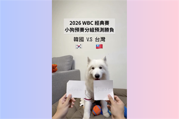 【WBC】薩摩耶「神犬」預測中華隊勝負4戰全中　球迷驚呼：比球評還準