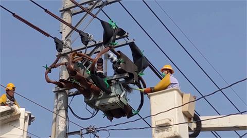 盧秀燕嗆停電嫁禍小動物　台電駁：努力遭到抹煞
