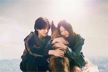 德國牧羊犬小櫻演技滿分不用替身　《少年與狗》導演：完美展現角色神韻