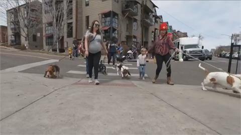 狗狗巴士派對！　19隻巴吉度獵犬與主人們同樂
