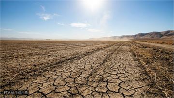 英國迎有史以來最熱夏天　連兩年破高溫紀錄乾旱野火頻傳