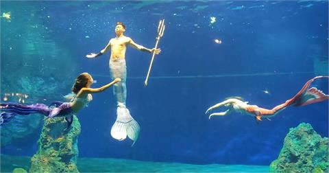 花蓮海洋公園人魚實境秀「男性人魚」首亮相　翩翩起舞夢幻優美