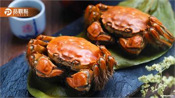 大閘蟹養10年血本無歸！養殖戶虧10年「100萬隻剩30萬」