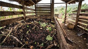 化肥致土壤劣化　肯亞農民改用「蚯蚓與黑水虻」救農地