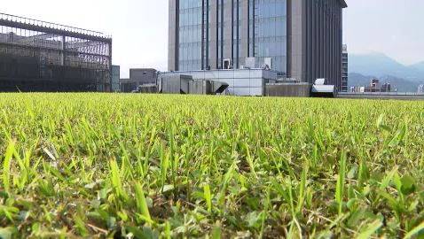 氣候風險化作獲利契機？迎接世界地球日 氣候投資從不缺席