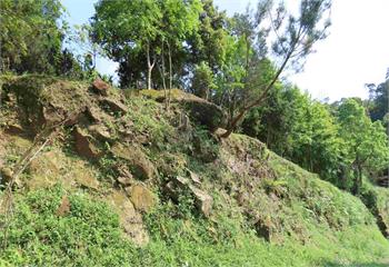 歡慶跨年更要顧安全　新北農業局籲守住山林迎平安新年