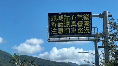 交通處電子看板助攻！　宜蘭頭城「甜心芭樂」熱銷