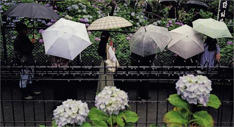 日本梅雨季釀災！鹿兒島雨量破記錄　多地傳淹水、土石崩塌災情