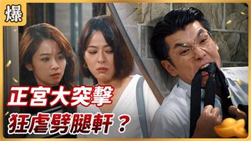 《好運來-EP203精彩片段》正宮大突擊 狂虐劈腿軒？