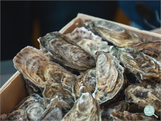 牡蠣殼做出生物可分解餐具？堆肥處理45天後　崩解度可達95.1%