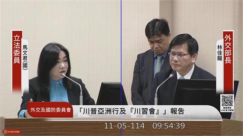 快新聞／《CNN》報導被亂翻譯！林佳龍喊認知作戰　外交部：是指有人刻意扭曲事實