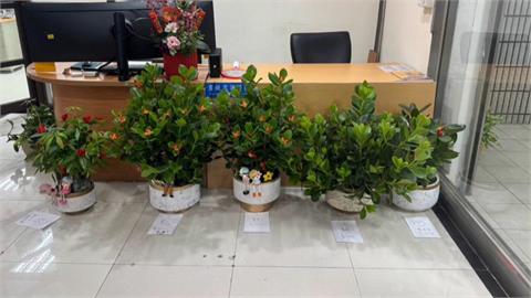 萬華婦６年多偷逾１０盆栽　中正區花店忍無可忍氣到報警